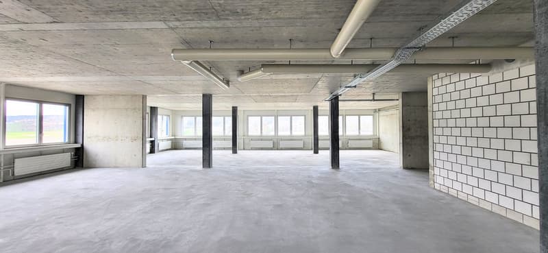 Empty office space with concrete walls, grey ceiling, windows with metal frames, white radiators, industrial design, empty interior.