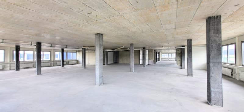 concrete pillars, white walls, windows, empty room