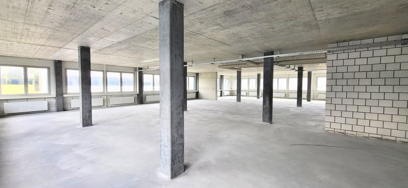 Empty room with concrete floor, concrete columns, white brick walls, windows, radiators, and lights.