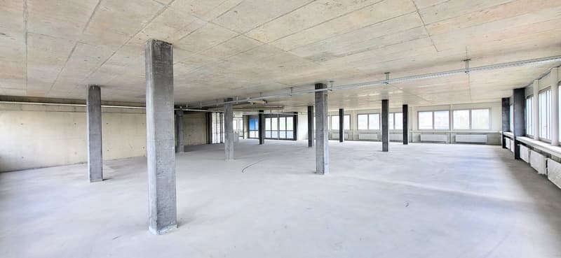 Empty office space with pillars, windows, unfinished ceiling