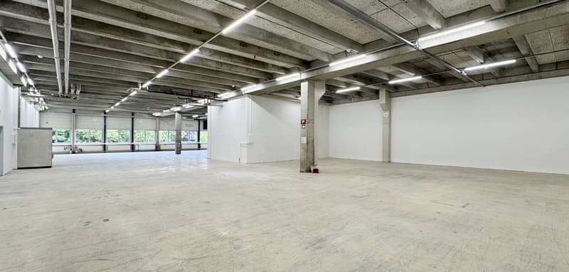 Workshop/Commercial Space with Storage Potential – 560 m² ideal for Handicraft & Production (7)