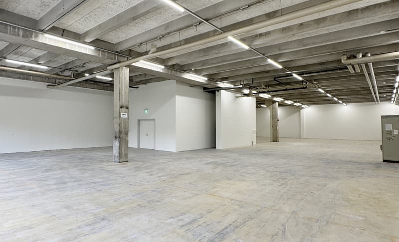Workshop/Commercial Space with Storage Potential – 560 m² ideal for Handicraft & Production (8)