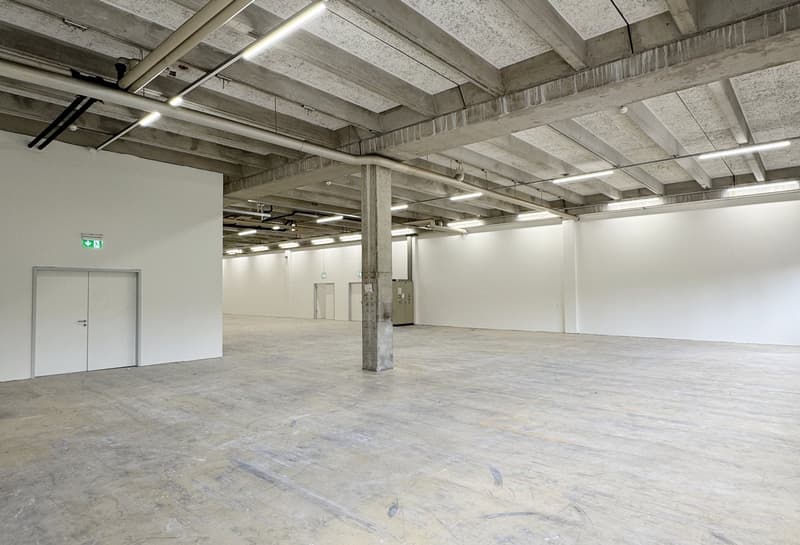 Workshop/Commercial Space with Storage Potential – 560 m² ideal for Handicraft & Production (9)