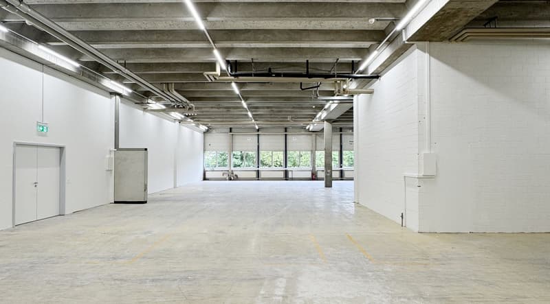 Workshop/Commercial Space with Storage Potential – 560 m² ideal for Handicraft & Production (4)