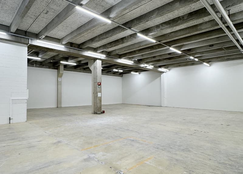 Flexible Gewerbefläche ab 250 m² – ideal für Handwerk, Dienstleistung oder Produktion (1)