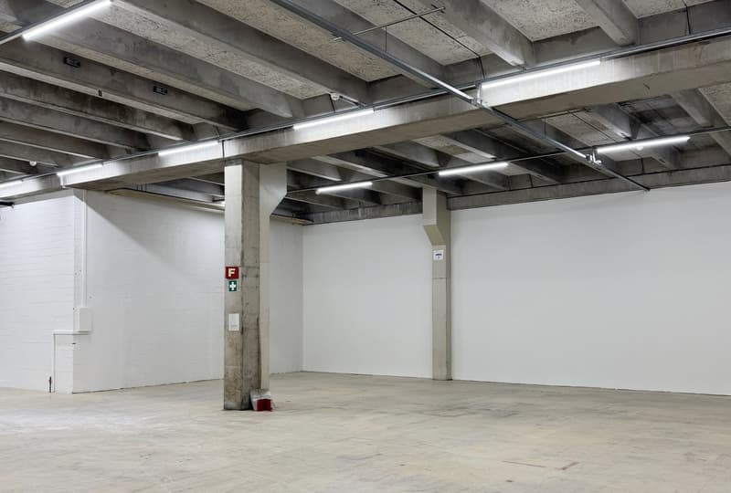 Flexible Gewerbefläche ab 250 m² – ideal für Handwerk, Dienstleistung oder Produktion (3)