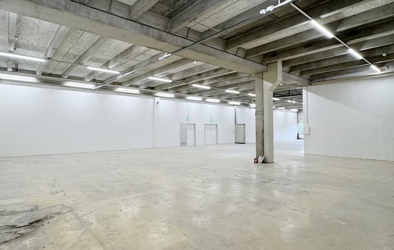 Flexible Gewerbefläche ab 250 m² – ideal für Handwerk, Dienstleistung oder Produktion (2)