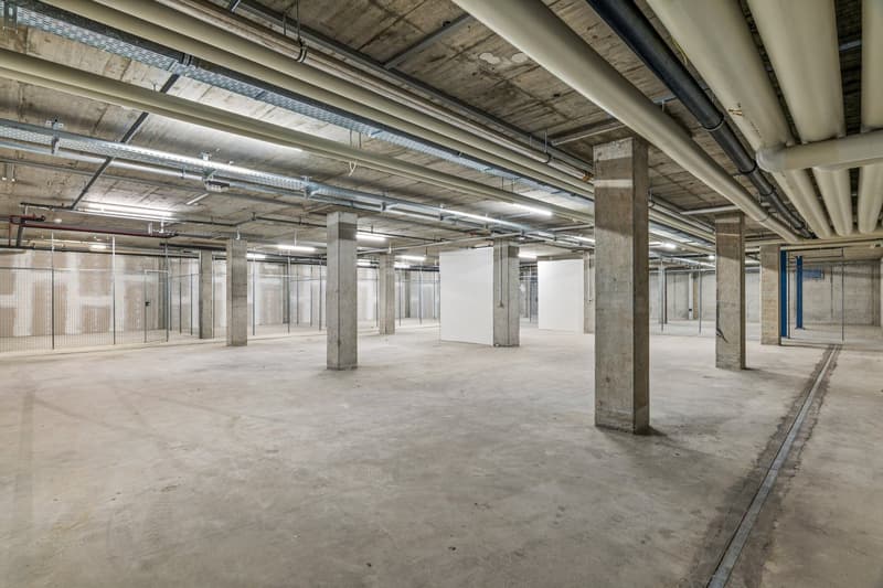 Flexible Lagerfläche (534m²) – kompakte Lösung für Material & Logistik (1)