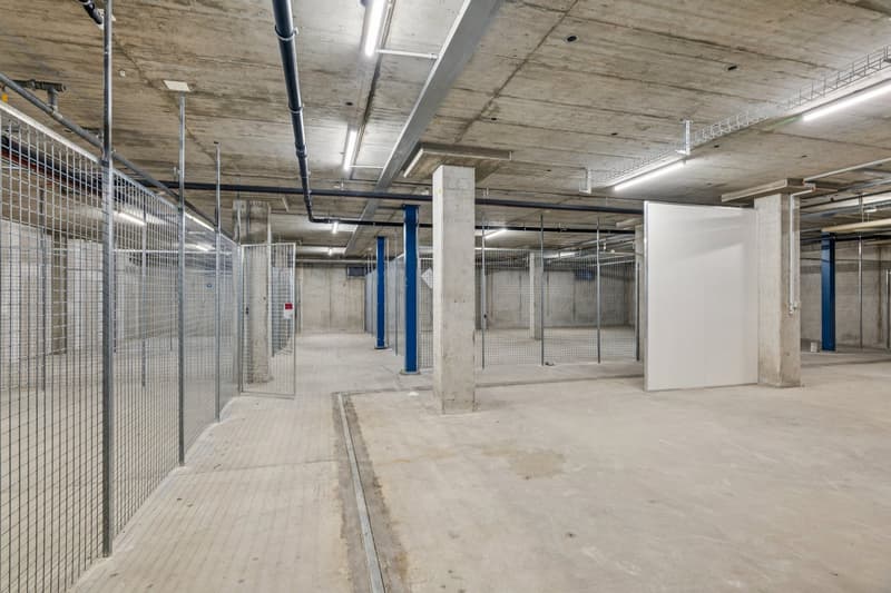 Kostengünstige Lagerfläche mit 280 m² – ideal für KMU, Gewerbe oder Onlinehandel (3)