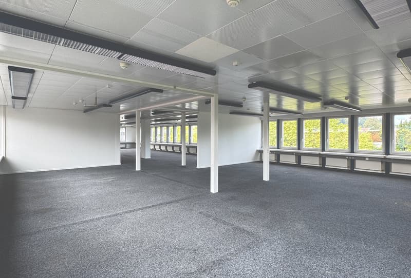 Spazio per uffici economico con 318 m² - ideale per le PMI o in combinazione con un magazzino (8)