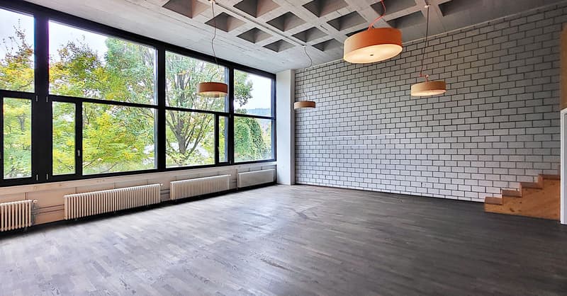 Superbe espace au rez-de-chaussée avec livraison et hauts plafonds ! (4)