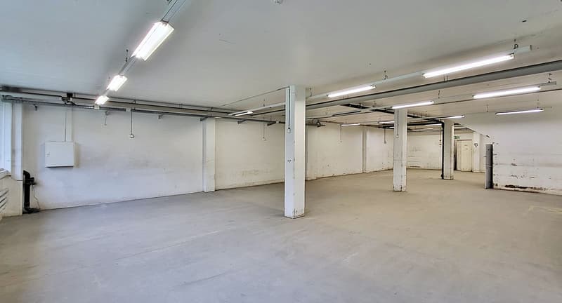 252 m² d'espace commercial - idéal pour divers usages (2)
