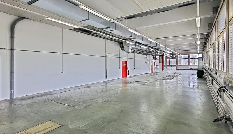 Il tuo nuovo sito di produzione a Zofingen - circa 2'000 m2 di produzione con magazzino! (4)