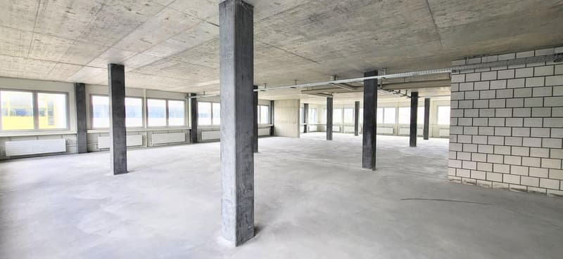 Espace commercial flexible – idéal pour la production et la logistique (5)