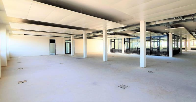 Spazio commerciale ventilato e raffreddato con accesso diretto dal montacarichi! (2)