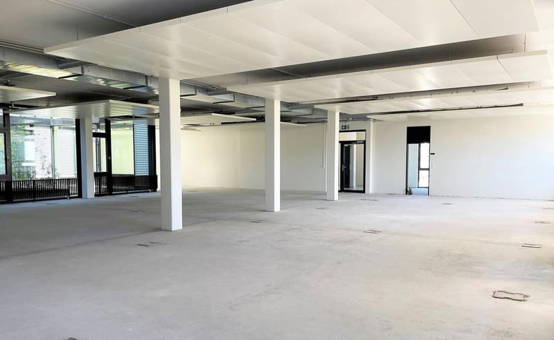 Spazio commerciale ventilato e raffreddato con accesso diretto dal montacarichi! (3)