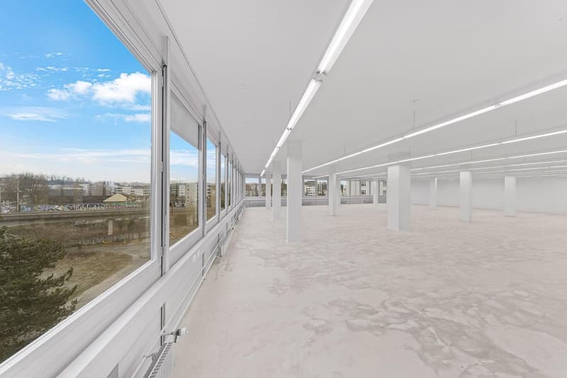 Ampio spazio commerciale con carico al pavimento di 1'000 kg/m²! (2)