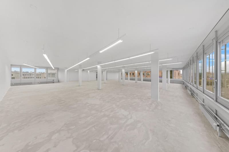 Ampio spazio commerciale con carico al pavimento di 1'000 kg/m²! (6)