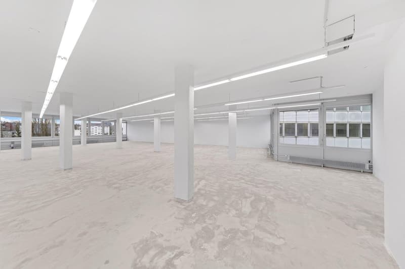 Ampio spazio commerciale con carico al pavimento di 1'000 kg/m²! (4)