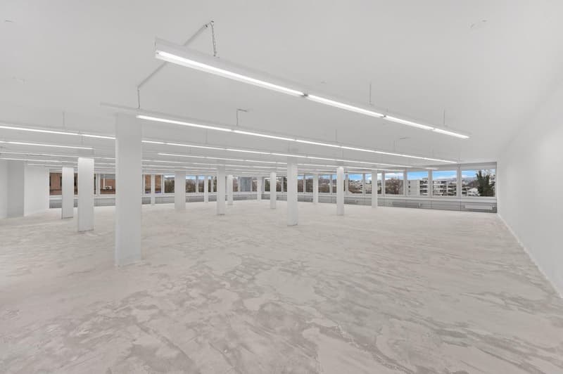 Ampio spazio commerciale con carico al pavimento di 1'000 kg/m²! (7)