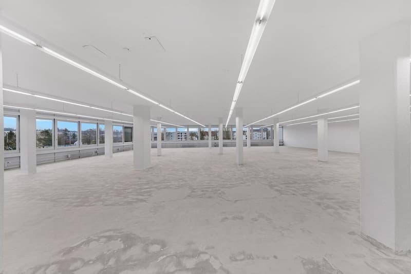 Ampio spazio commerciale con carico al pavimento di 1'000 kg/m²! (3)