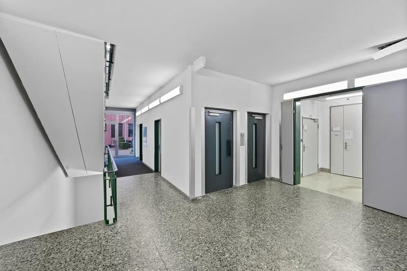 Ampio spazio commerciale con carico al pavimento di 1'000 kg/m²! (10)