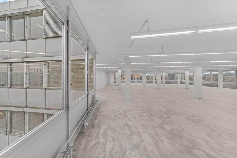 Ampio spazio commerciale con carico al pavimento di 1'000 kg/m²! (8)