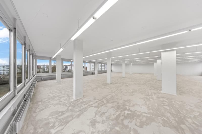 Ampio spazio commerciale con carico al pavimento di 1'000 kg/m²! (5)