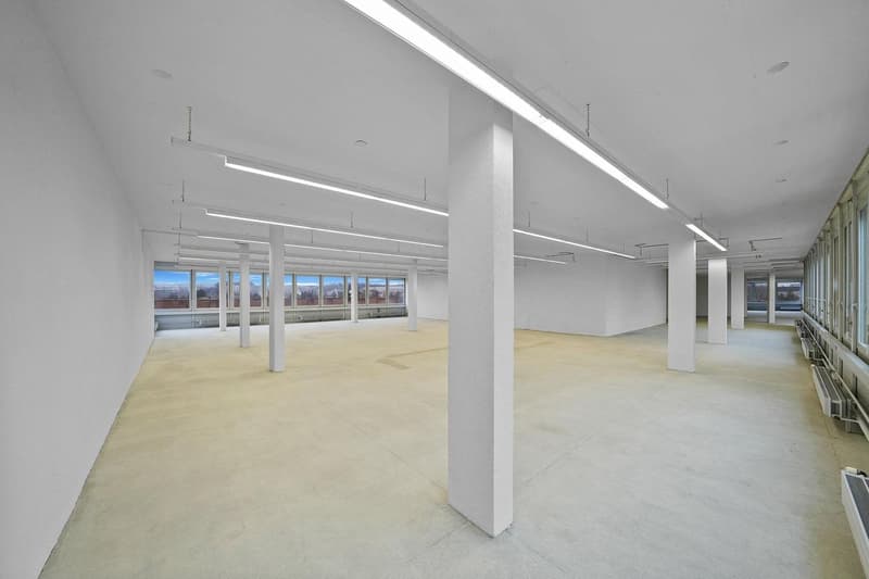 Spazio commerciale pratico con 1'000 kg/m² di carico a pavimento - vista inclusa (5)