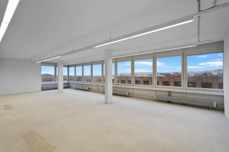 Spazio commerciale pratico con 1'000 kg/m² di carico a pavimento - vista inclusa (6)
