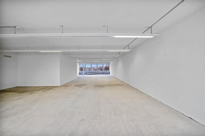 Spazio commerciale pratico con 1'000 kg/m² di carico a pavimento - vista inclusa (3)