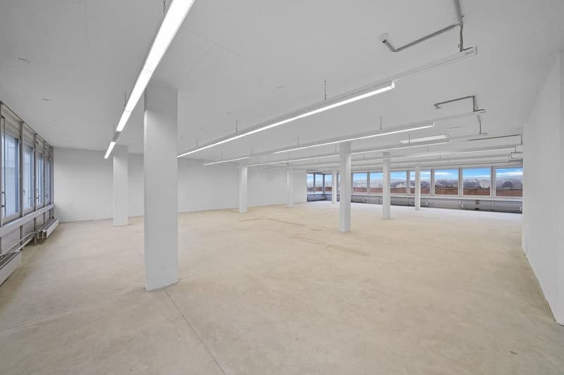 Spazio commerciale pratico con 1'000 kg/m² di carico a pavimento - vista inclusa (2)