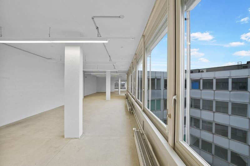 Spazio commerciale pratico con 1'000 kg/m² di carico a pavimento - vista inclusa (13)