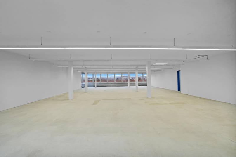 Spazio commerciale pratico con 1'000 kg/m² di carico a pavimento - vista inclusa (4)