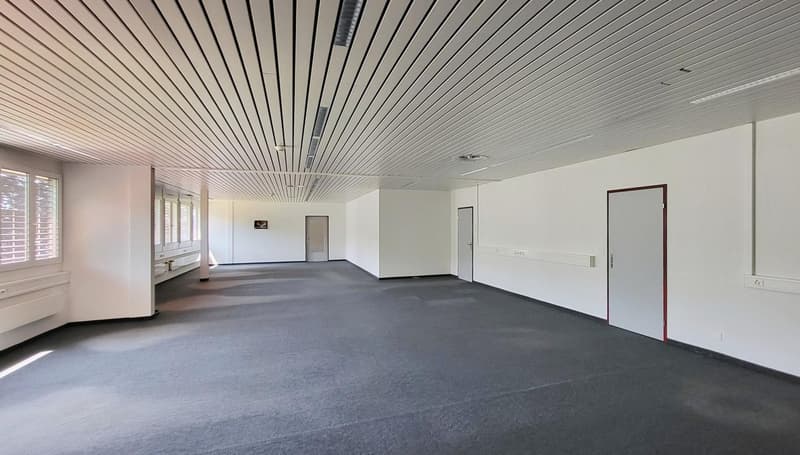 Immeuble commercial spacieux à louer à Wetzikon (11)