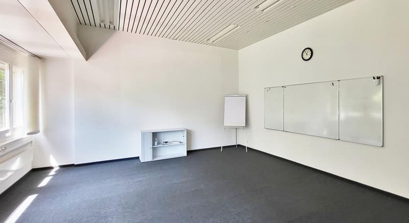 Immeuble commercial spacieux à louer à Wetzikon (12)