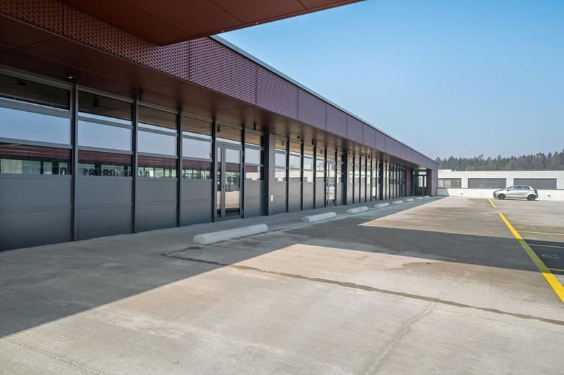 Ground-level commercial spaces for craftsmen and traders (5)