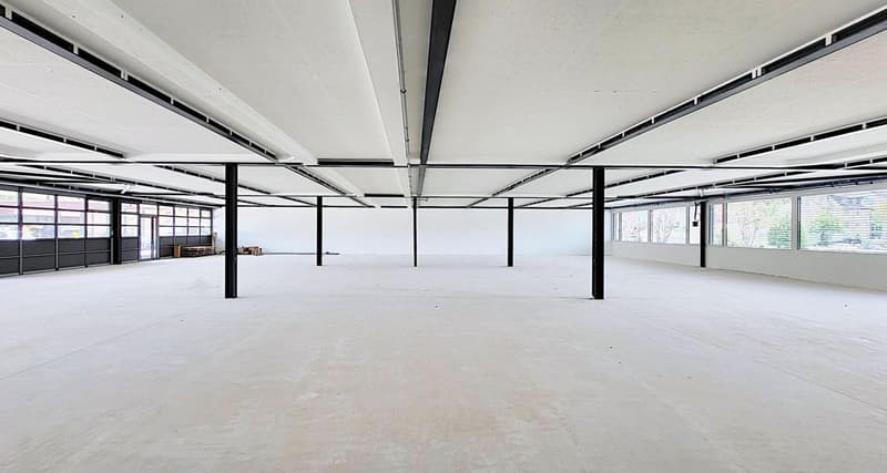 Ground-level commercial spaces for craftsmen and traders (8)