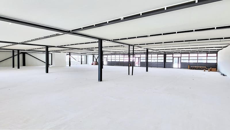 Ground-level commercial spaces for craftsmen and traders (11)