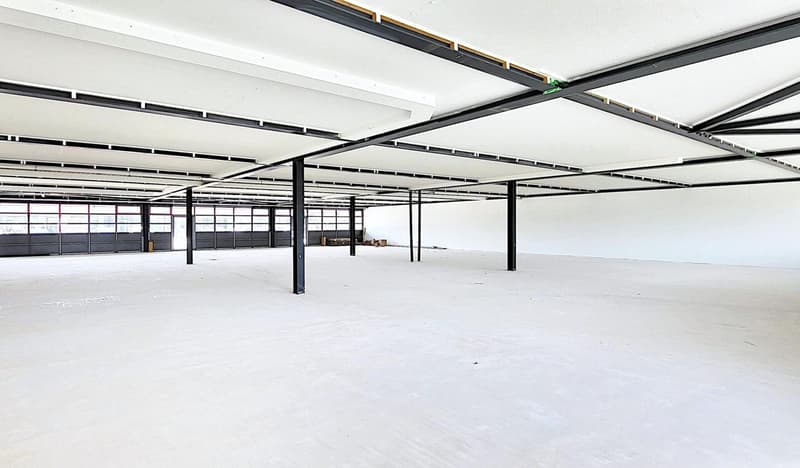 Ground-level commercial spaces for craftsmen and traders (10)