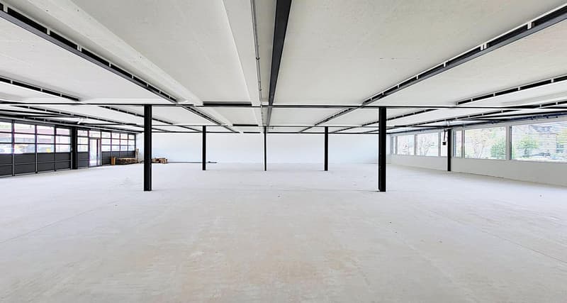 Ora anche da 240 m2 - spazi commerciali a livello del suolo a Root (3)