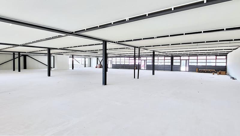 Ora anche da 240 m2 - spazi commerciali a livello del suolo a Root (6)