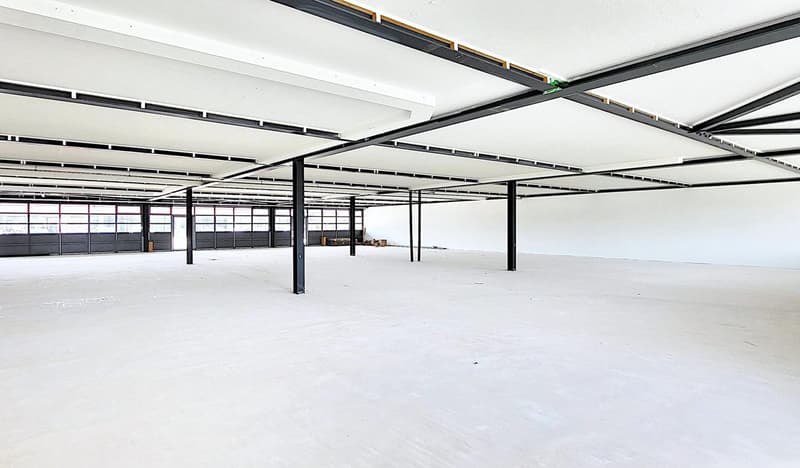 Ora anche da 240 m2 - spazi commerciali a livello del suolo a Root (4)
