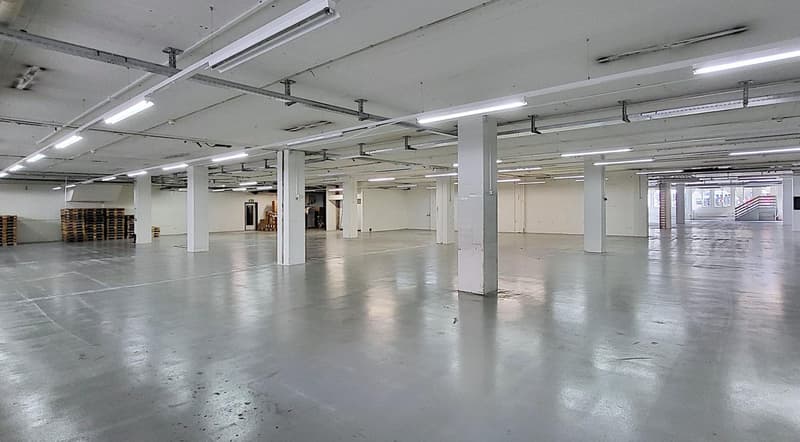 Ora anche aree parziali da circa 600 m2 - Spazi commerciali/produzione a Egg b. Zurigo! (4)