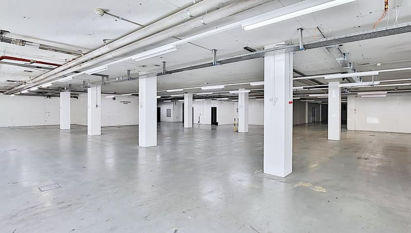 Ora anche aree parziali da circa 600 m2 - Spazi commerciali/produzione a Egg b. Zurigo! (3)