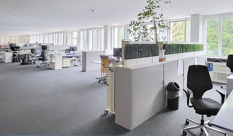 Nuove aree parziali - spazio ufficio completamente sviluppato - circa 620 m2! (6)