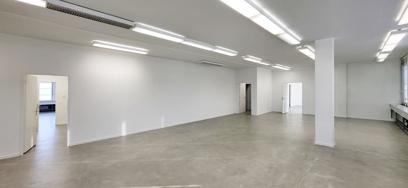 Spazio commerciale pronto per l'occupazione con carico al pavimento di 1.000 kg/m²! (5)