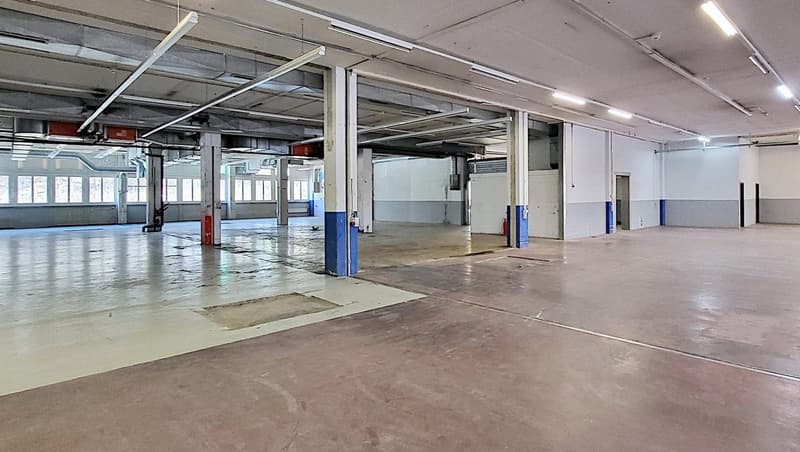Raro spazio commerciale/produzione al piano terra! (3)