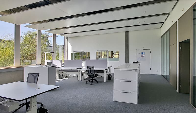 Your chance for 335 m² of office space in Luterbach! (3)