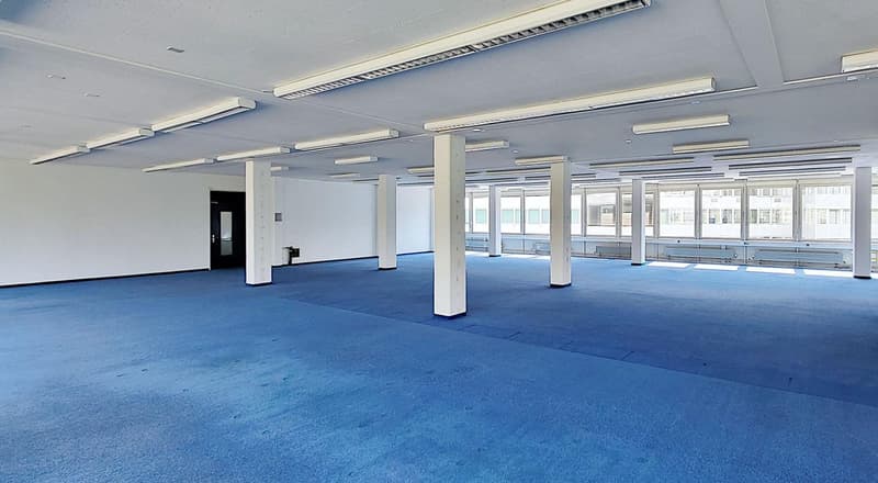 Beaucoup d'espace ouvert plus salle de réunion (3)